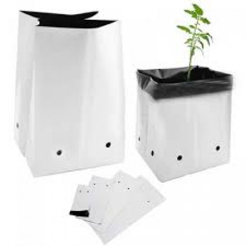 Túi Bầu Trồng Dưa- Túi Pe Trồng Dưa Túi Bầu Trồng Dưa- Túi Pe Trồng Dưa